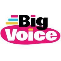 Big Voice Ltd logo - Similar company to Giraffe Digital | Certified B Corp™