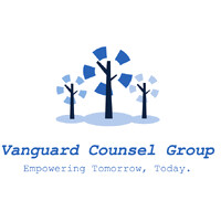 VCG consultancy logo - Similar company to Beleaf
