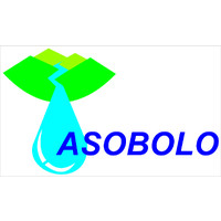 Asobolo logo - Similar company to Recicly