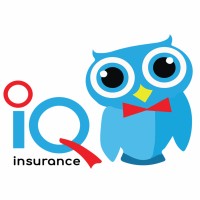 IQ Insurance logo - Similar company to Solid Health Insurance Services