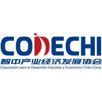 Corporación para el Desarrollo Industrial y Económico de Chile-China logo - Similar company to Partnex
