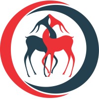 Gazelle Consulting Group logo - Similar company to Litpath Development Hub