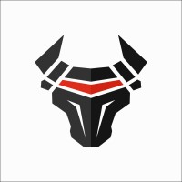Robobull Technologies Pvt. Ltd logo - Similar company to Animax Technology