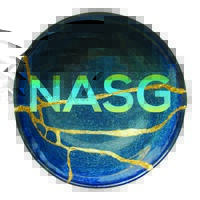 Narcissistic Abuse Support Group logo - Similar company to The Narcissism Decoder