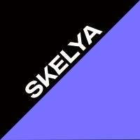 SKELYA logo - Similar company to Coursespots