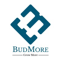 BudMore Pty Ltd logo - Similar company to Remote Teams