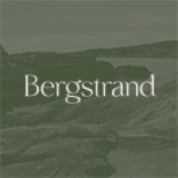 Bergstrand Consultancy logo - Similar company to Blippa.Com