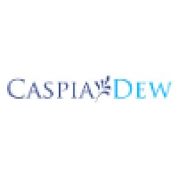 Caspiadew It Innovations Pvt Ltd