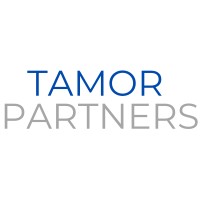 Tamor Partners logo - Similar company to First Point Partners Llc