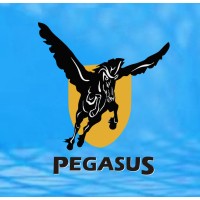 Pegasus International Group logo - Similar company to Advanced Vtol Technologies