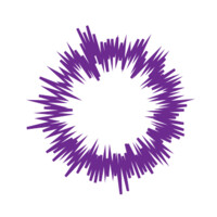 Purple Noise CIC logo - Similar company to Hvn Labs Ltd