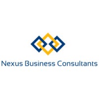 Nexus Business Consultants logo - Similar company to Intellimark