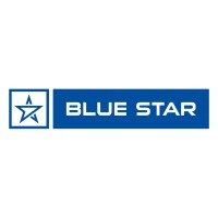 Blue Star MEA logo - Similar company to Veristar