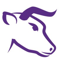 Visibull logo - Similar company to Juggle