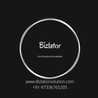 Bizlator Solutions Private Limited logo - Similar company to Coding Hub