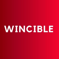 Wincible logo - Similar company to Konnbot