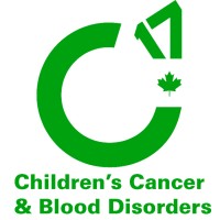 C17 Council logo - Similar company to Anzchog