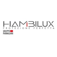 Hambilux - Gruppo Parmigiani S.r.l. logo - Similar company to Romizza