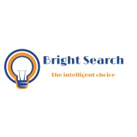 BRIGHT-SEARCH LIMITED logo - Similar company to Talentalert Pro®