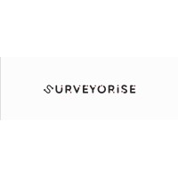 surveyorise logo - Similar company to Macroanalysis