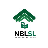 NBL Securities Limited logo - Similar company to Visual Communication Ltd.