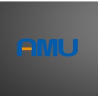 AMU ELECTRONICS (HK) CO ., LIMITED logo - Similar company to Jb Carconcept