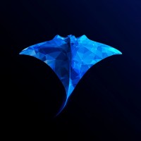 Stingrai logo - Similar company to Openrds.Ai