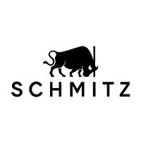 SCHMITZ medical Swiss AG logo - Similar company to Cmed Gmbh