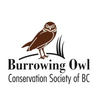 Burrowing Owl Conservation Society of BC logo - Similar company to Indigenous Stewardship Fund