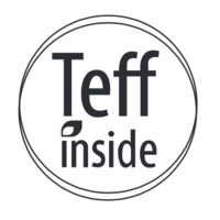 Teffinside logo - Similar company to Krone Used