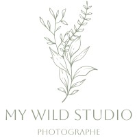 My Wild Studio logo - Similar company to Artisans Du Velay