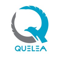 Quelea Co., ltd logo - Similar company to Risen Media