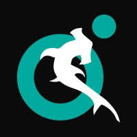 HAMMERHEAD GLOBAL logo - Similar company to Crew-Xperience