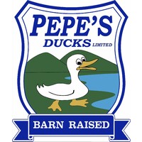 Pepe's Ducks Ltd logo - Similar company to Proten