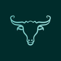 S type X logo - Similar company to Mittx Aluminiumproffset