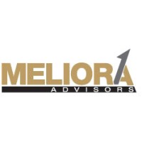 Meliora Advisors, LLC logo - Similar company to Syndicate 11