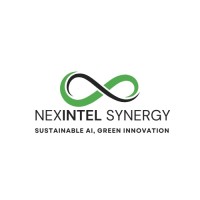 NexIntel Synergy Pvt. Ltd. logo - Similar company to Rr Solutions