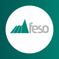 Feso - Fundação Educacional Serra dos Órgãos logo - Similar company to Pstg-Tech