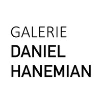 GALERIE DANIEL HANEMIAN logo - Similar company to Artlune