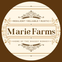 Marie Farms: Home of The Shaggy Donkey logo - Similar company to Durham Donkey Rescue
