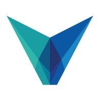 The Vikor Group