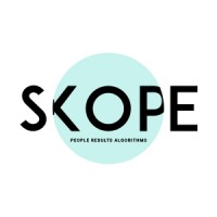 Skope Consulting logo - Similar company to Aifred