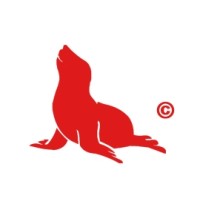 RedSeal logo - Similar company to Red Seal