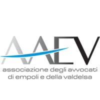 A.A.E.V. logo - Similar company to Logika Protection Systems S.R.L.