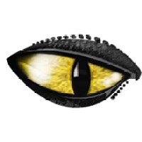 Cobra Simulation Limited logo - Similar company to Domeprojection.Com® Gmbh