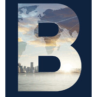 BraxxWood Capital logo - Similar company to Atgarc Drones