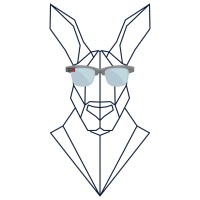 Kangaroo Analytics logo - Similar company to Dashboards By Api
