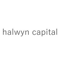 Halwyn Capital logo - Similar company to Niti Advisory Services