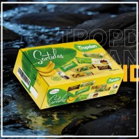 Tropdan logo - Similar company to Ecotec - Soluções Ambientais Ltda