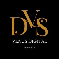Venus Digital Service logo - Similar company to Hacker Hostel